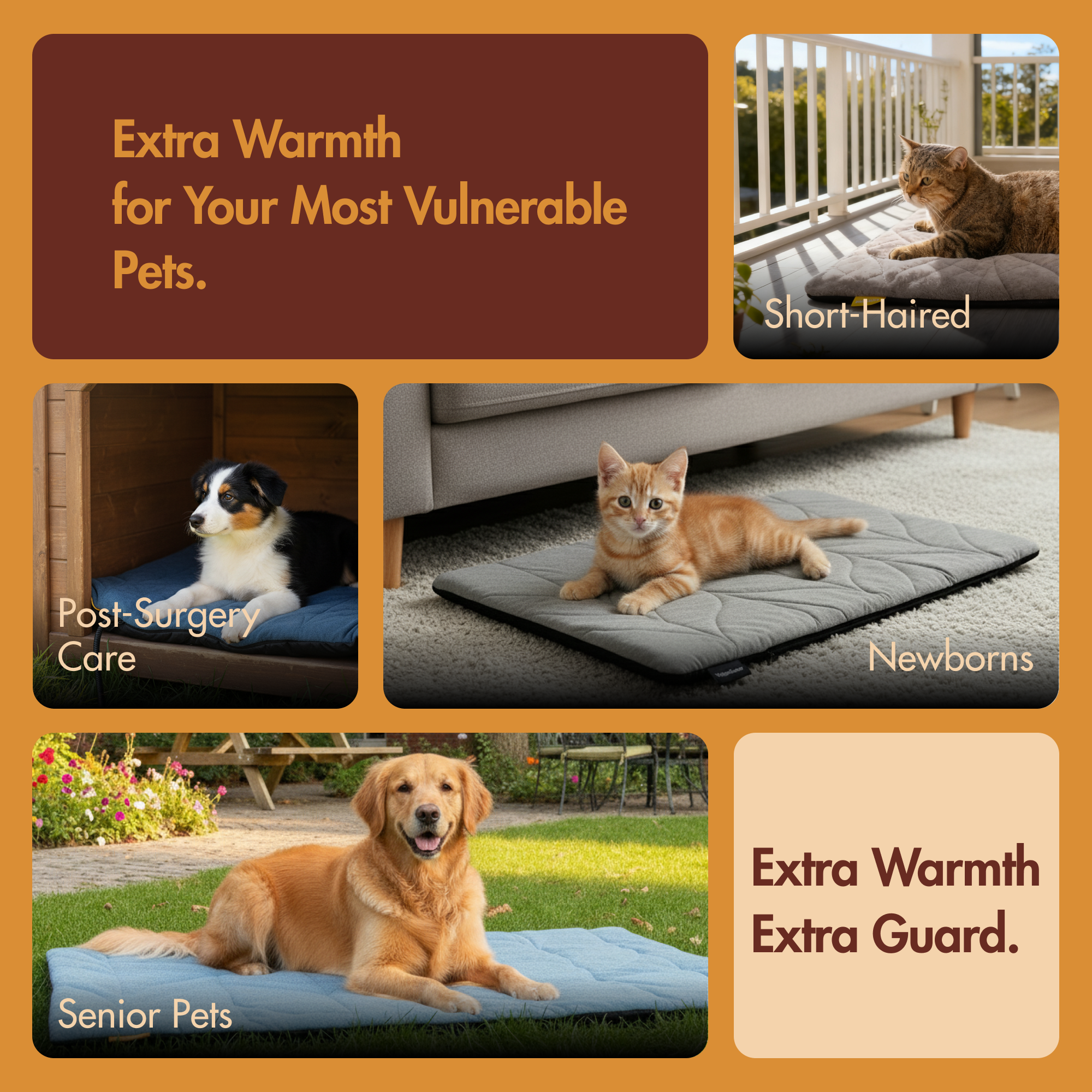 Free Electric Heated Pet Mat （5pcs limited）