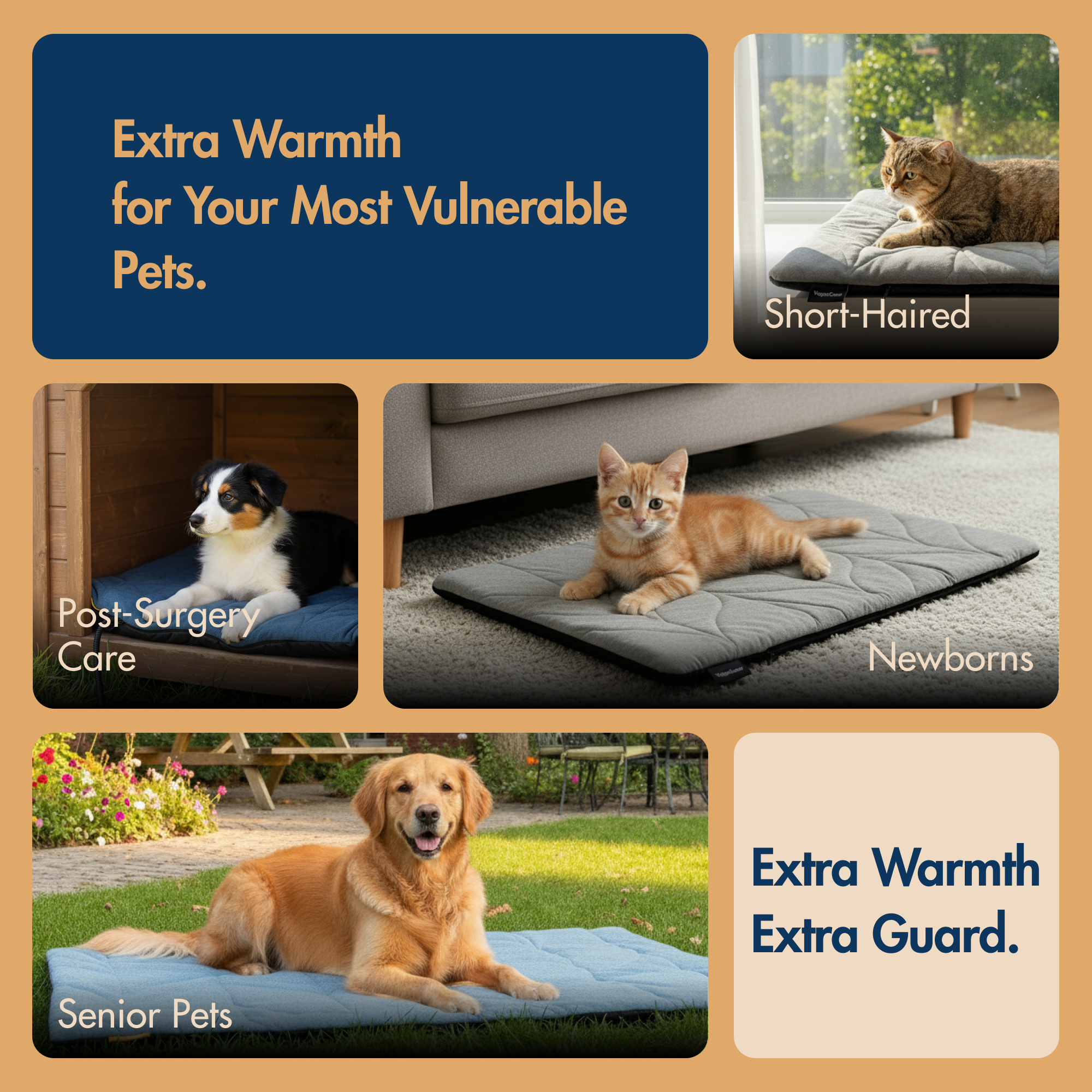 Free Electric Heated Pet Mat （5pcs limited）