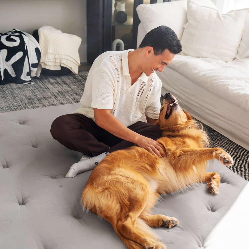 Special Bonus: Classic Floor Mattress