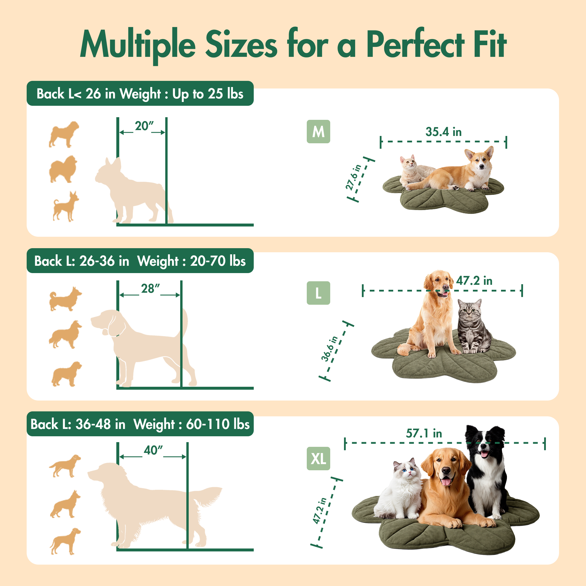 Free Electric Heated Pet Mat （5pcs limited）