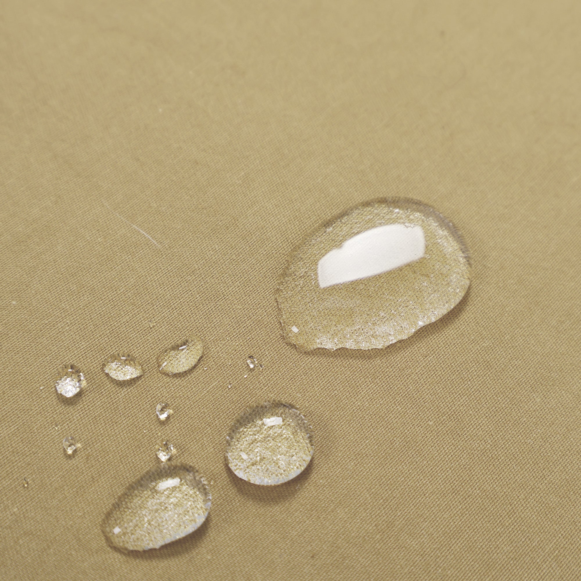 Cotton Waterproof Futon Mattress Cover （Expected to arrive in early March）