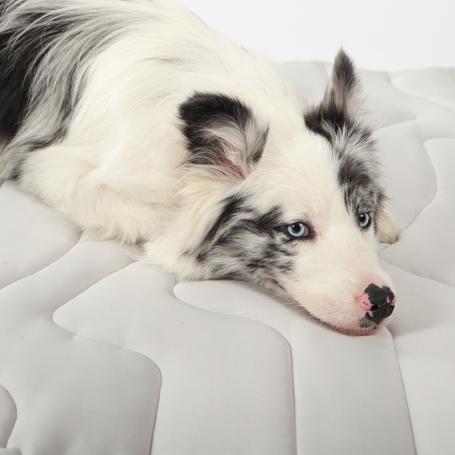 Pet Cooling Mat