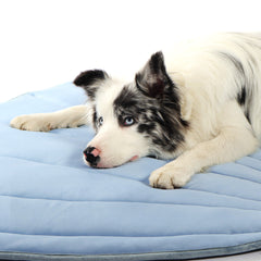 Leaf-Shaped Pet Cooling Mat