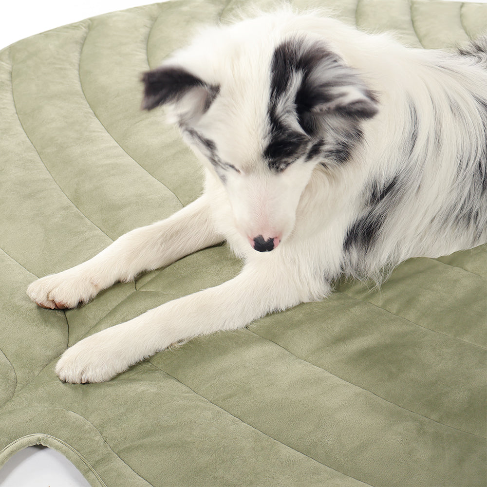 Leaf-Shaped Pet Cooling Mat