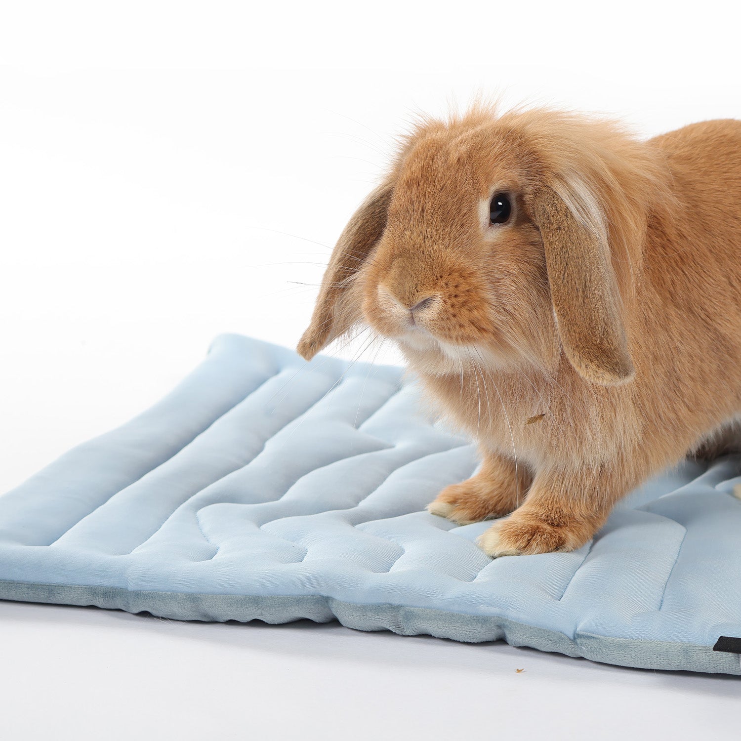 Pet Cooling Mat